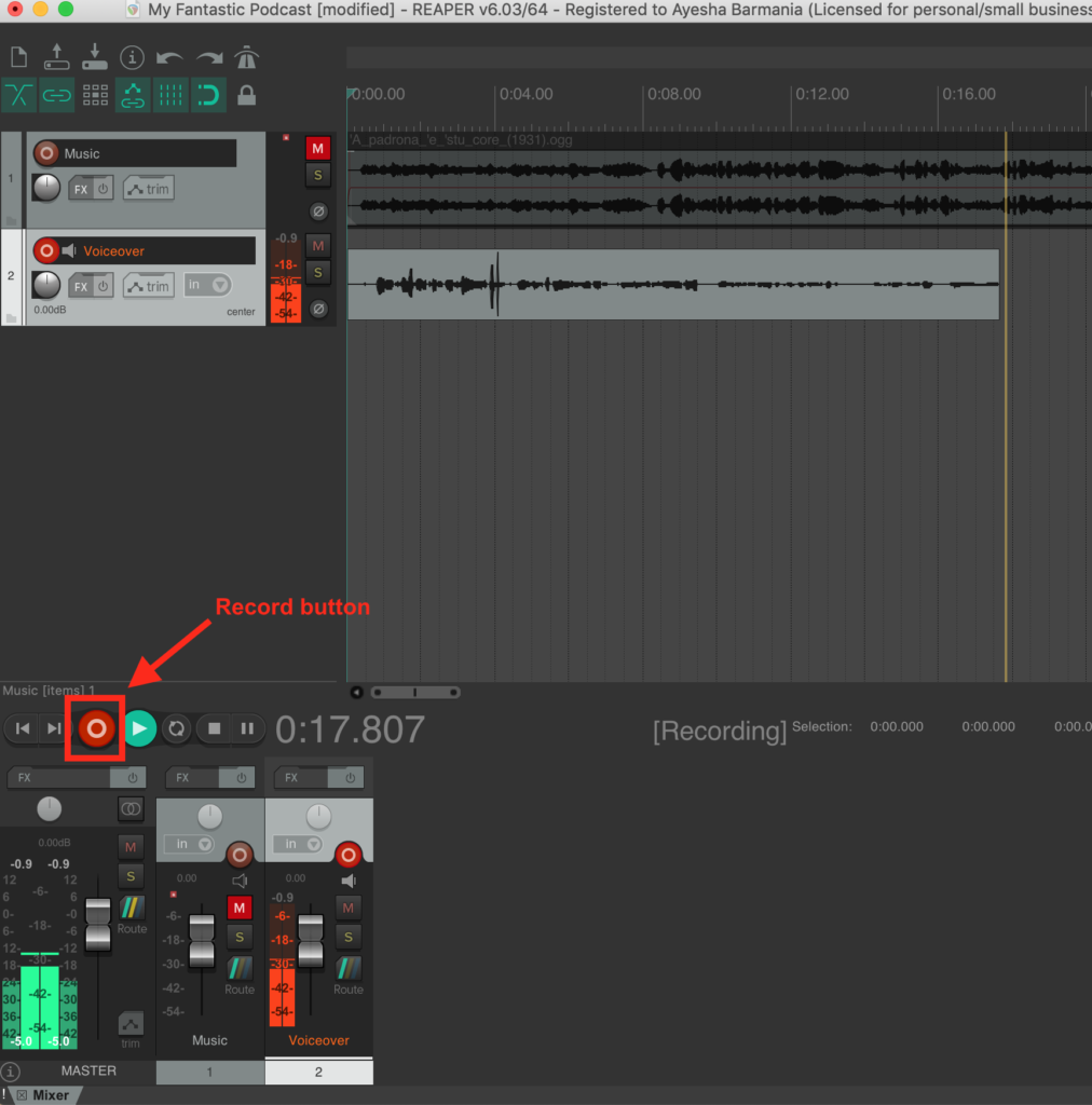 audio reaper download